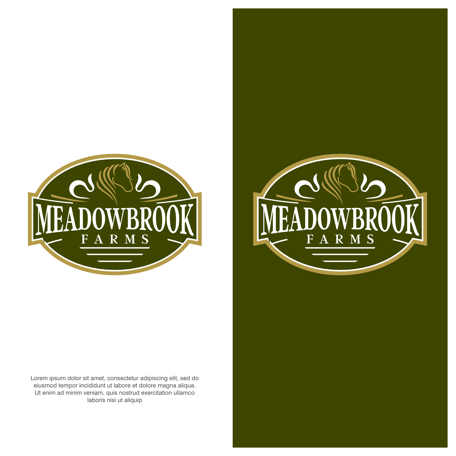 Logo Design by ThiagoB for this project | Design #35038272