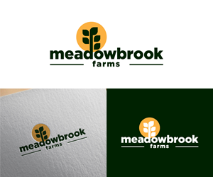 Logo-Design von Ansh Design für dieses Projekt | Design: #35038488