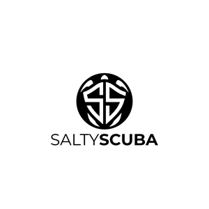 Design de Logo par Wong Solo pour ce projet | Design : #35087721