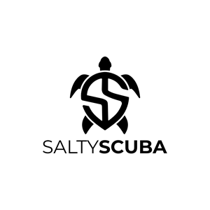 Design de Logo par Wong Solo pour ce projet | Design : #35131717