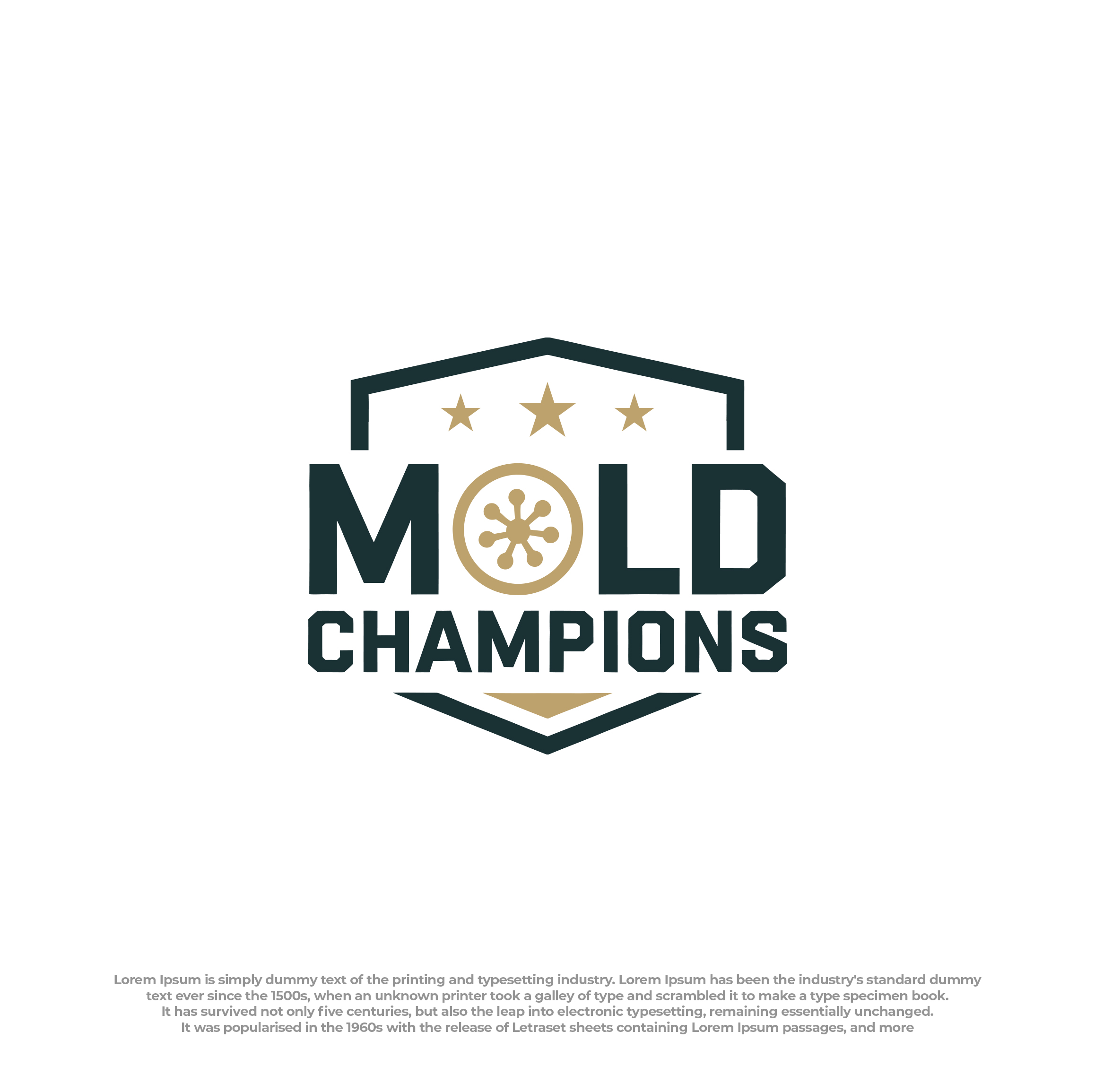 Logo Design by Peak design for this project | Design #35079142