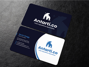 Business Card Design by Graphixpointt for this project | Design: #35040458