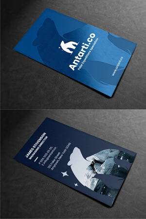 Business Card Design by Atvento Graphics for this project | Design: #35043226
