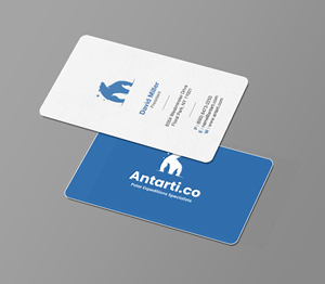Business Card Design by Brand aid for this project | Design: #35047553
