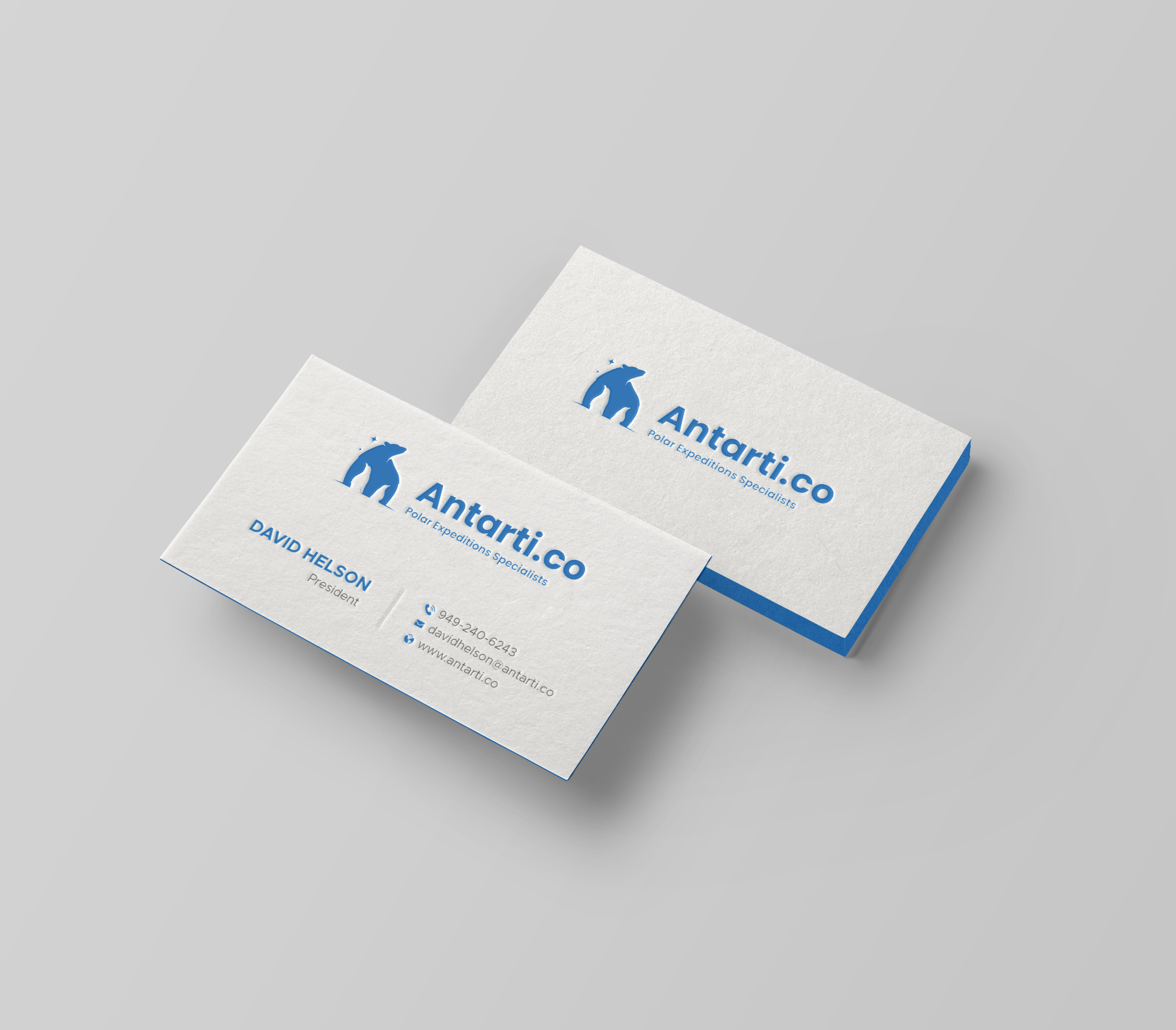 Business Card Design by DesignShout for this project | Design #35046825