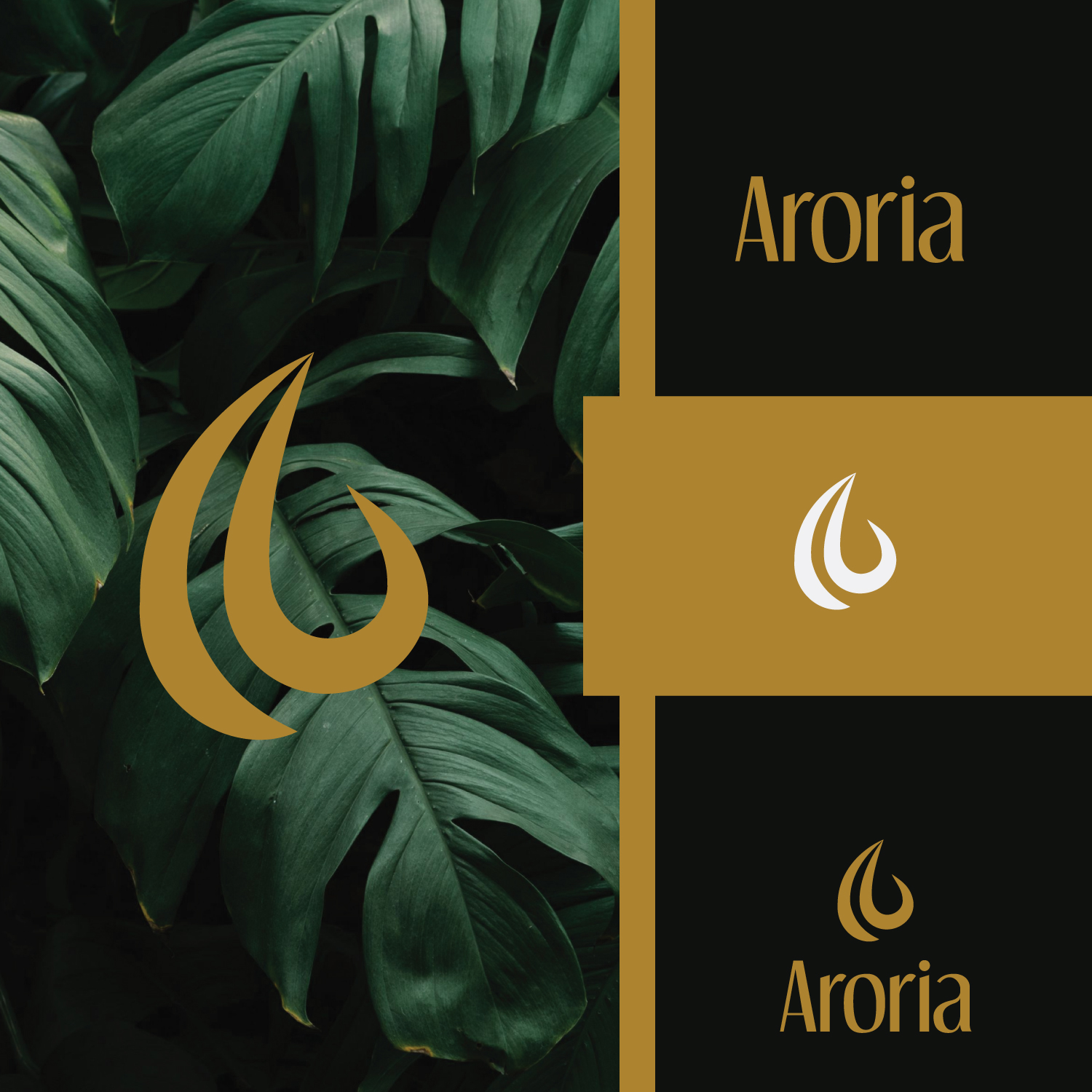 Logo-Design von choni für dieses Projekt | Design #35053340