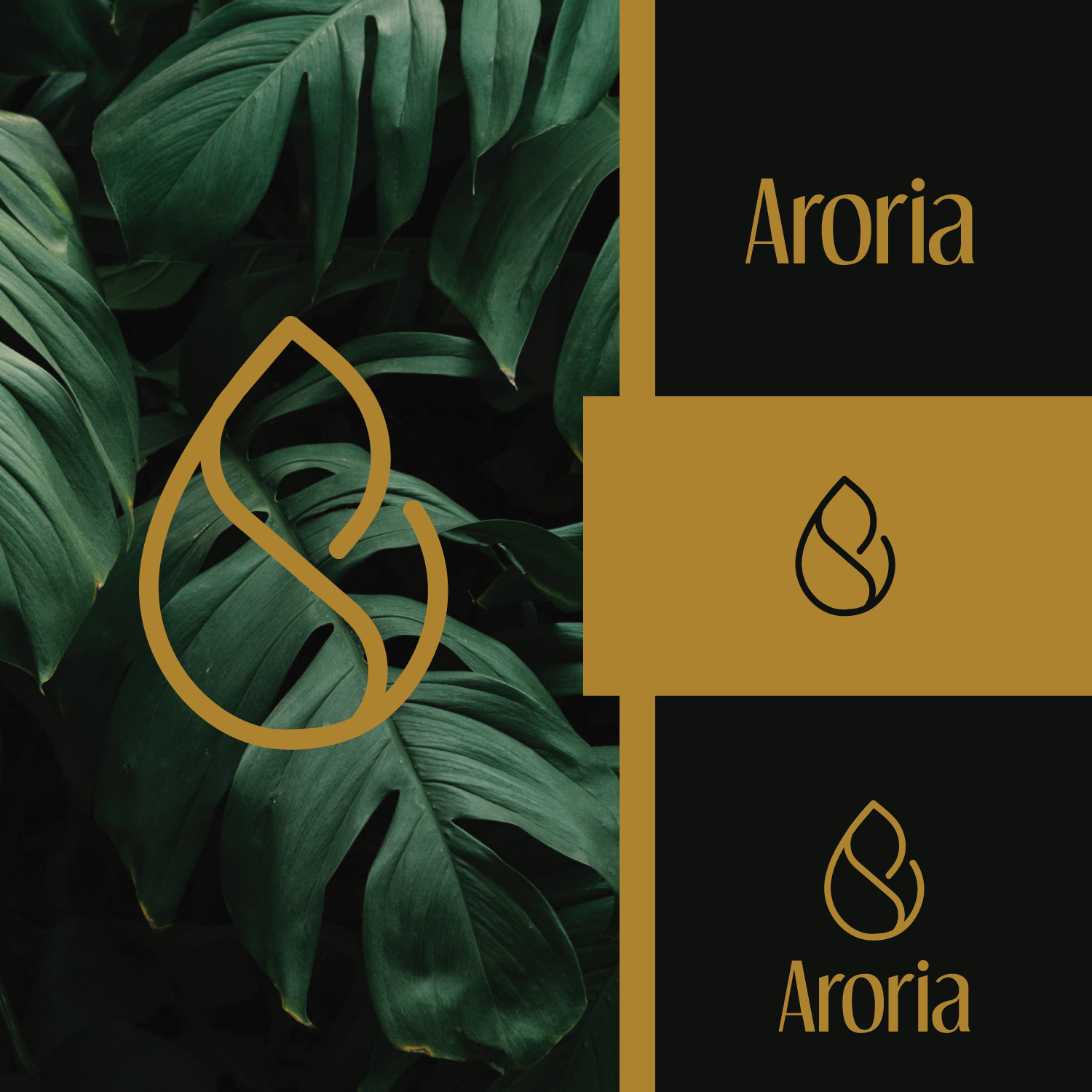 Logo-Design von choni für dieses Projekt | Design #35053349