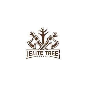 Logo Design by Logo Fighter