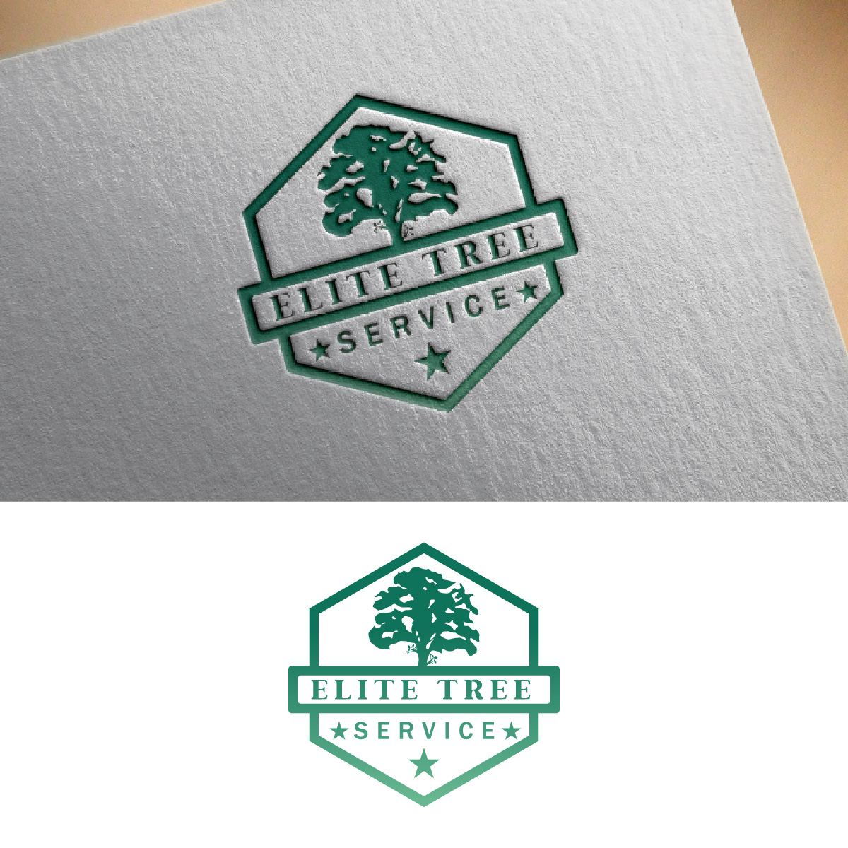 Logo Design by fly  design for Design It Agency | Design #35048966