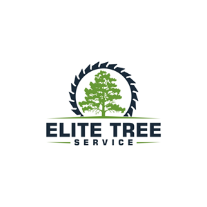 Logo Design by WoAdek