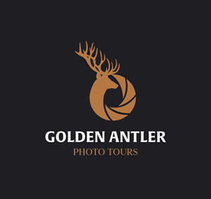 Logo Design by Onse Officials