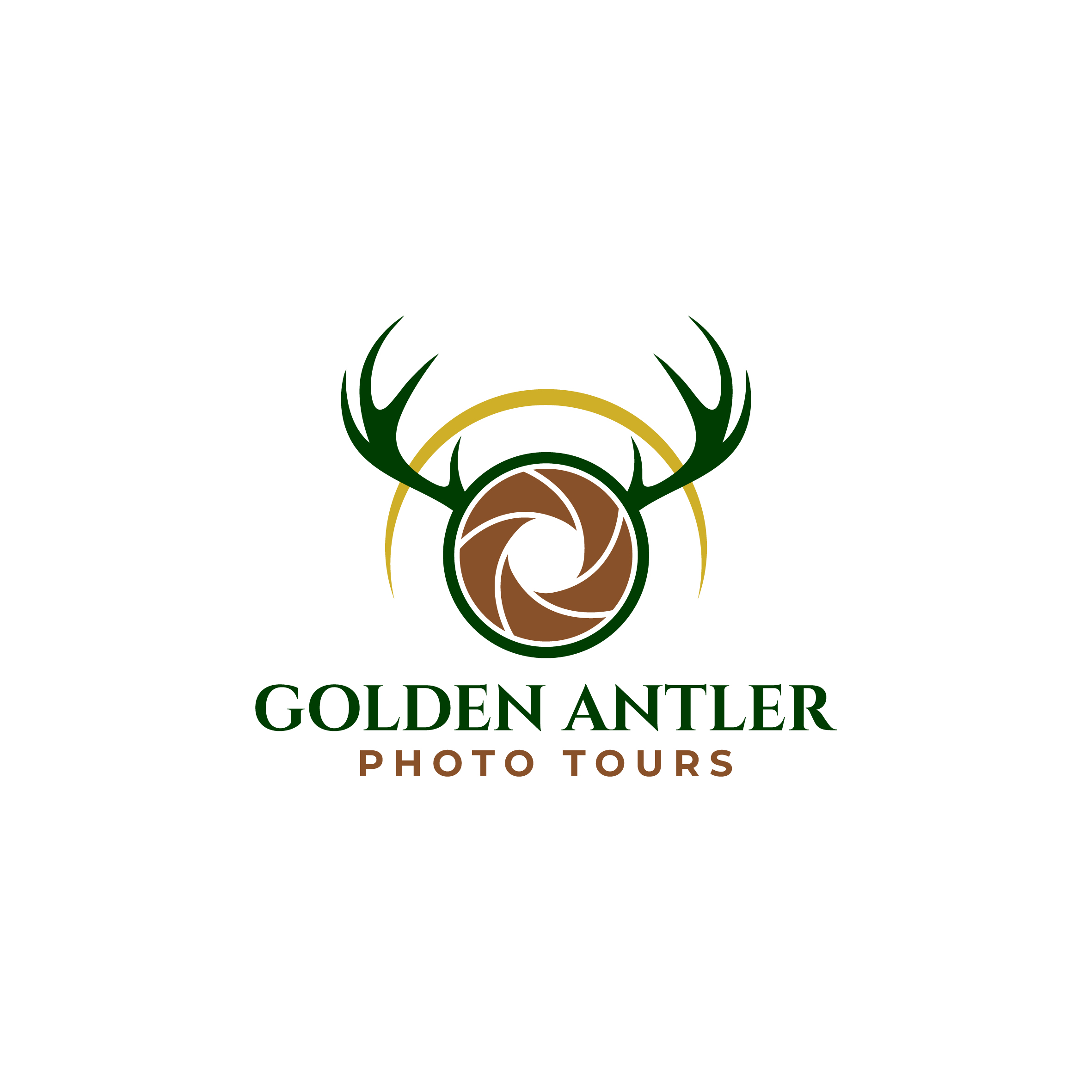 Logo Design by Aljune Castro Designs for Lion Communications GmbH & Co. KG | Design #35049257