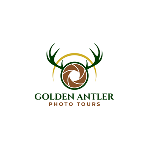 Logo Design by Aljune Castro Designs