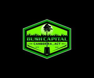 Logo-Design von Ansh Design für dieses Projekt | Design: #35059343