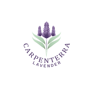 Logo Design by Onse Officials
