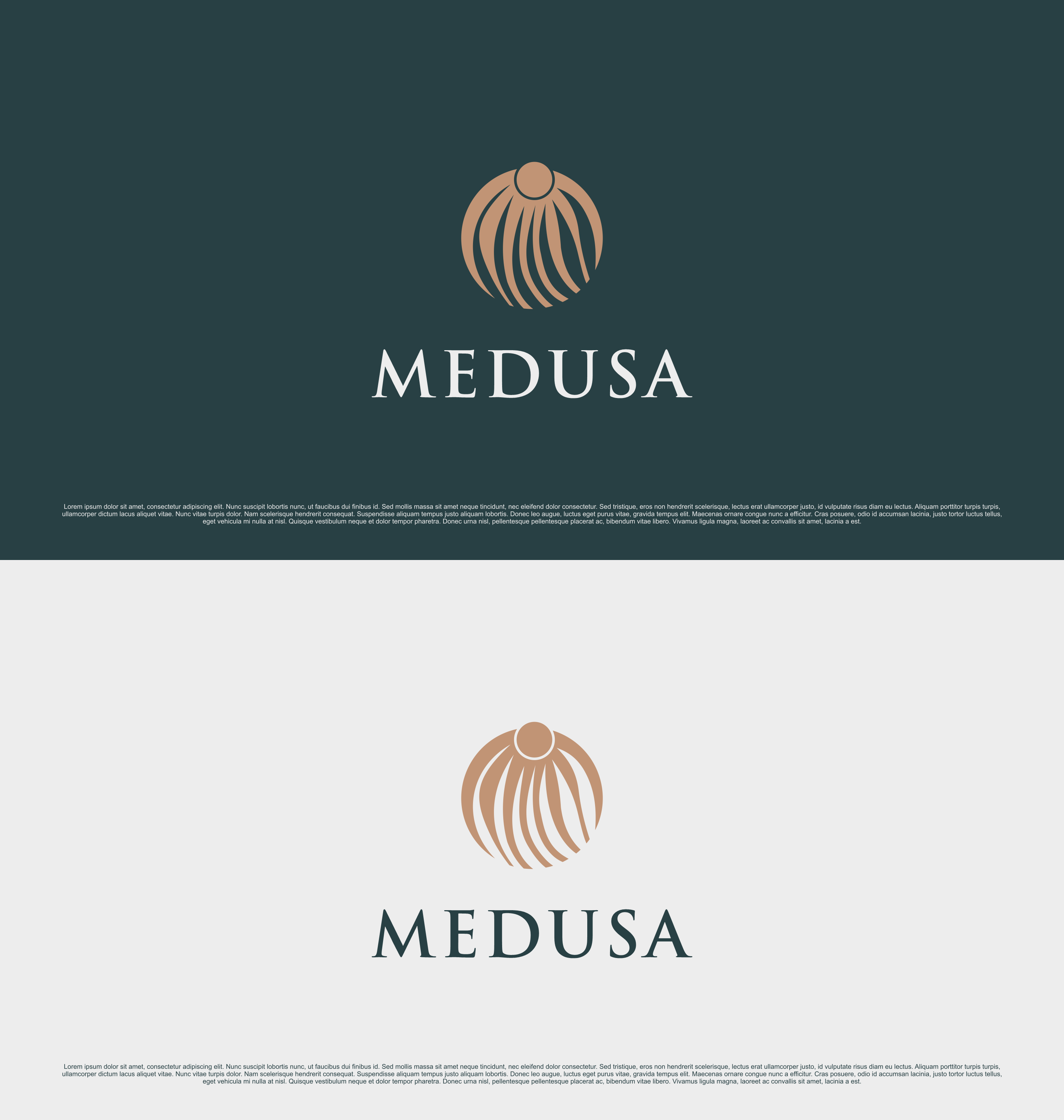 Logo-Design von saesean für dieses Projekt | Design #35063807