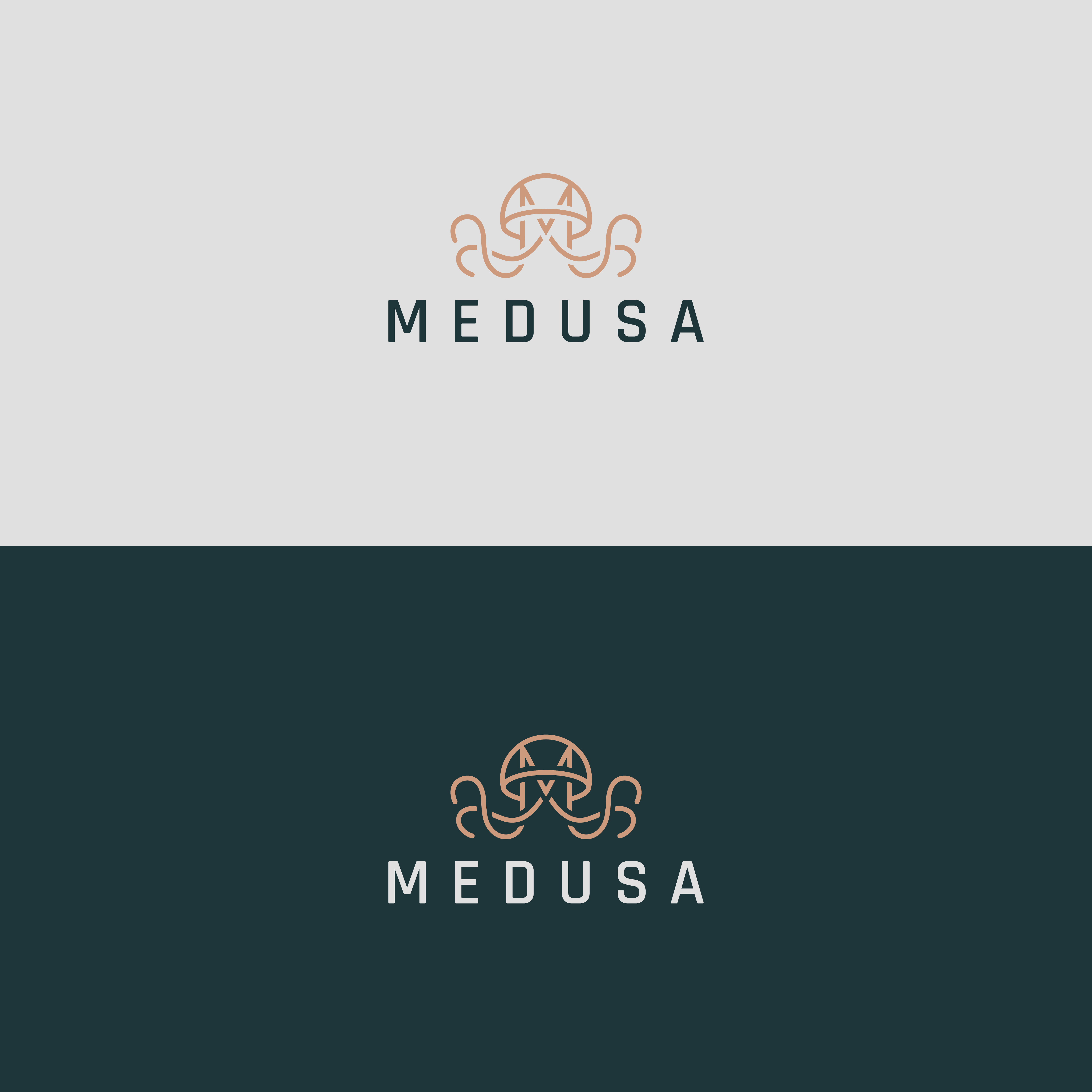 Logo Design by TDAC for this project | Design #35071864