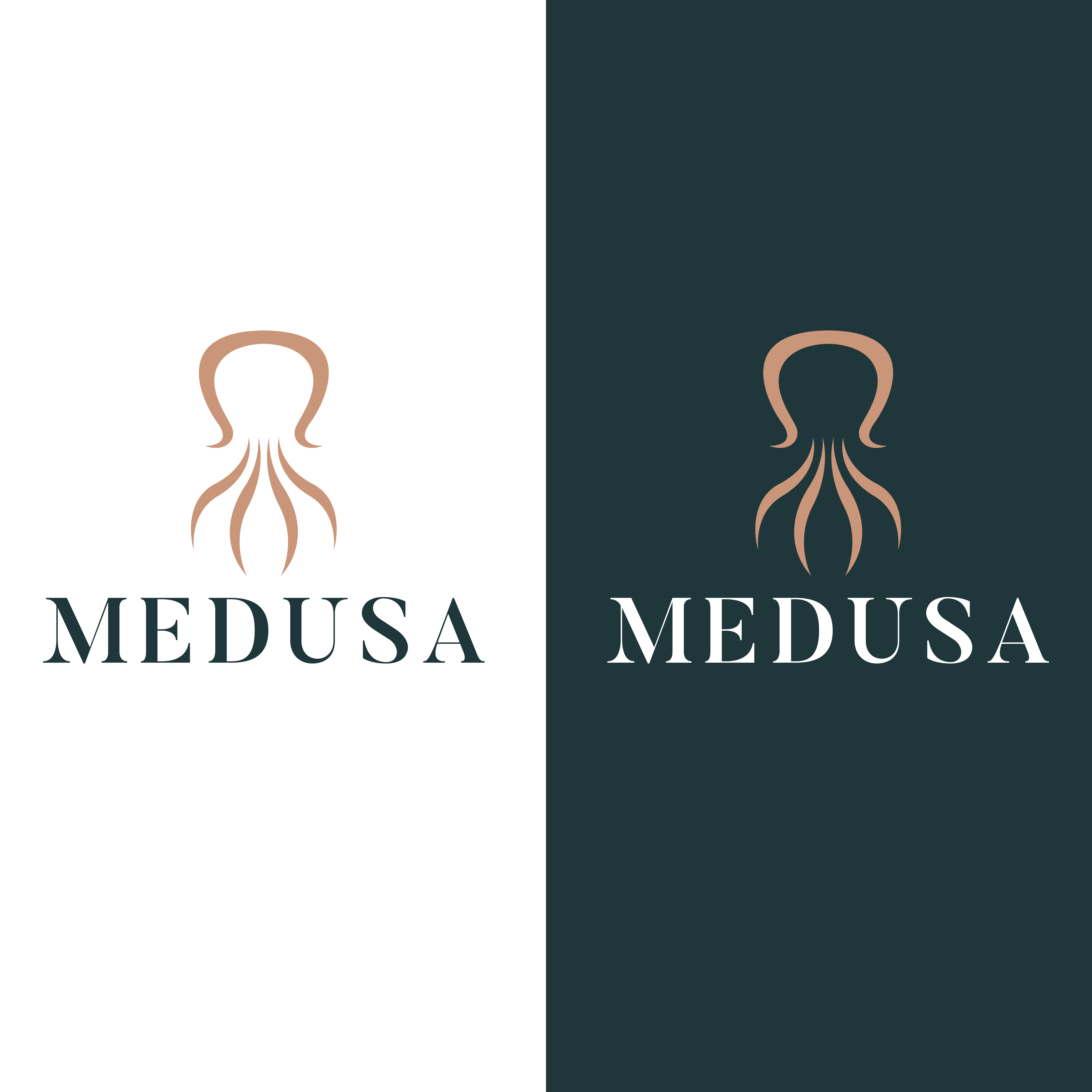 Diseño de Logo por Monique6699 para este proyecto | Diseño #35067185