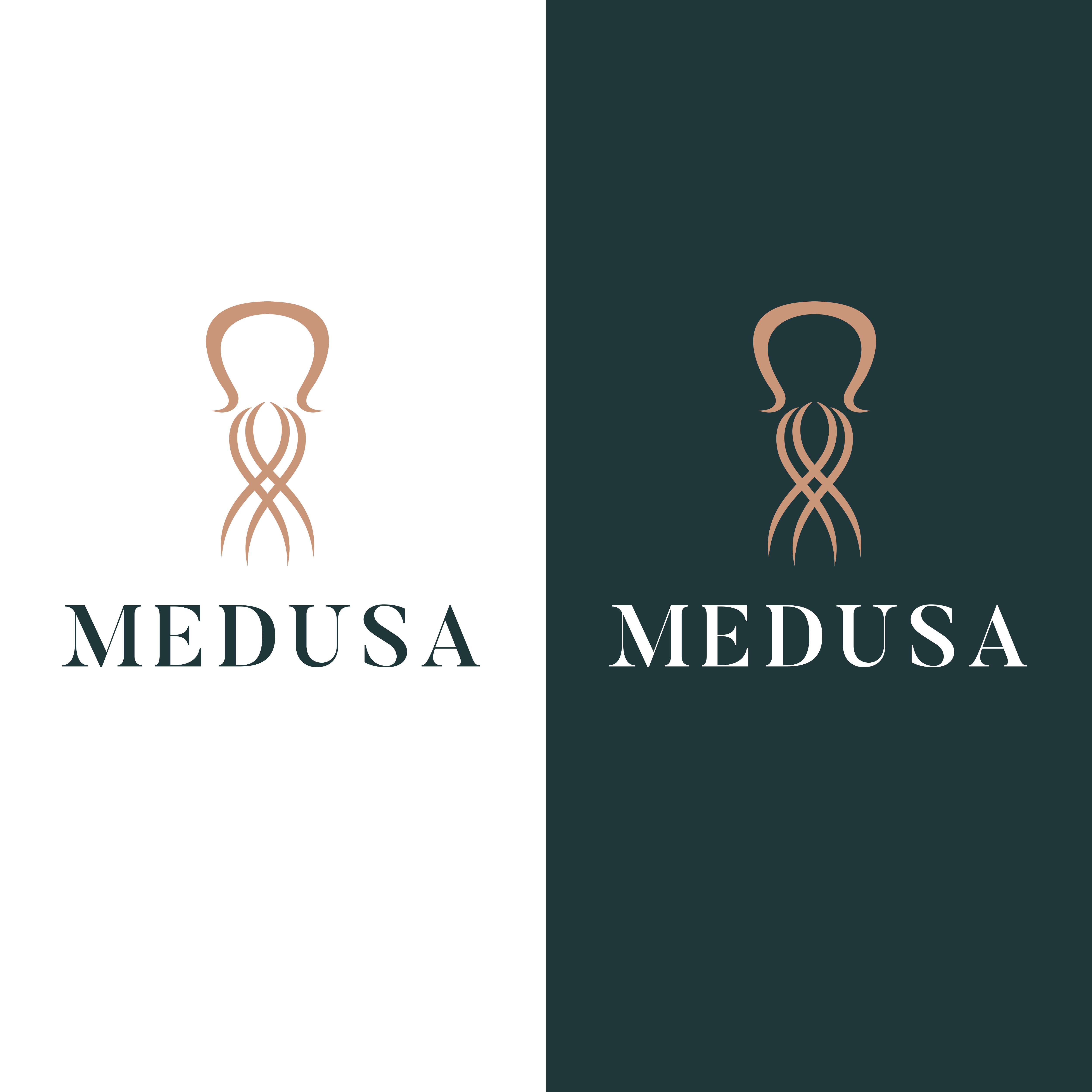 Design de Logo par Monique6699 pour ce projet | Design #35068423