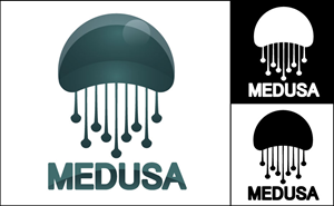 Logo Design by Flying Spade Graphics