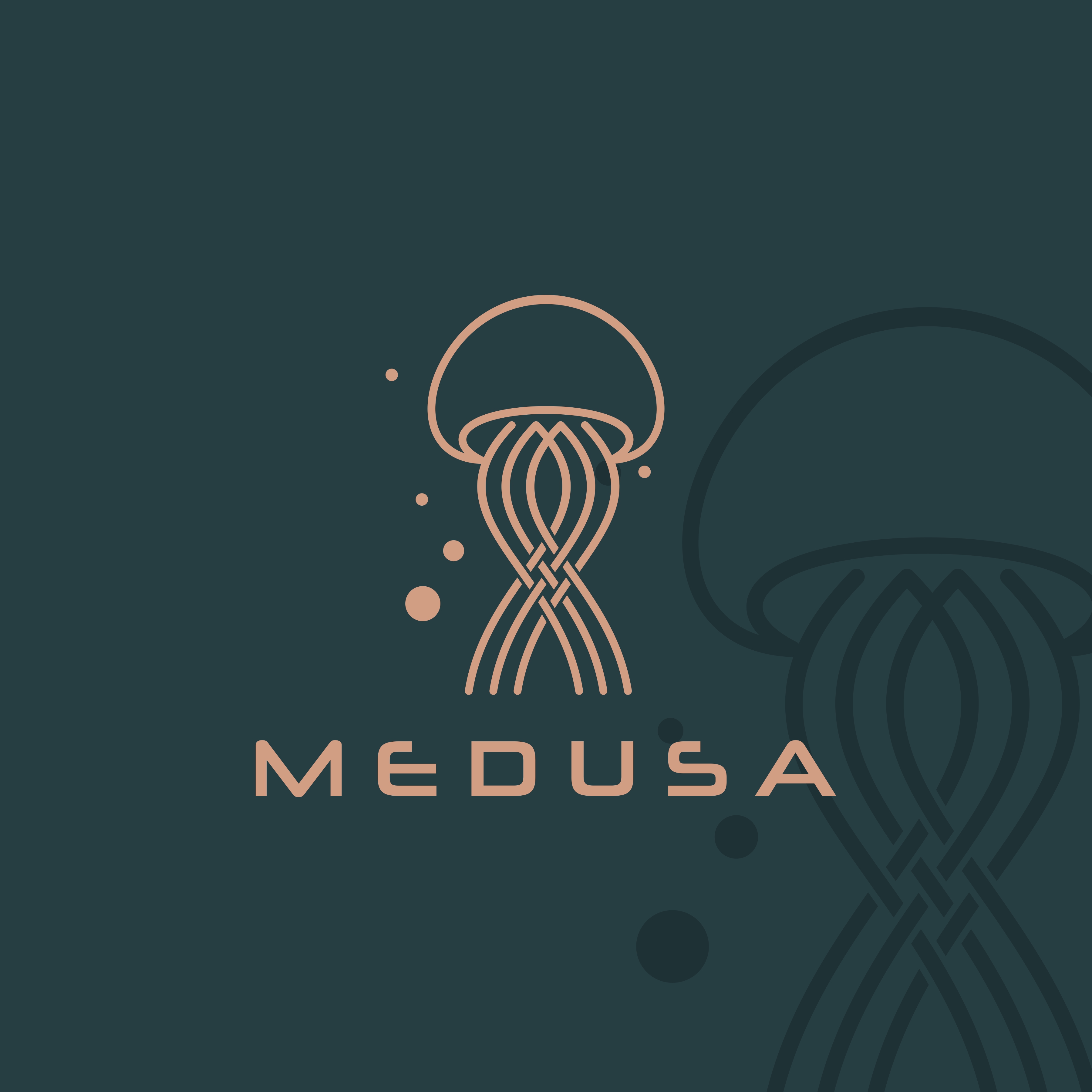 Diseño de Logo por fly  design para este proyecto | Diseño #35065862