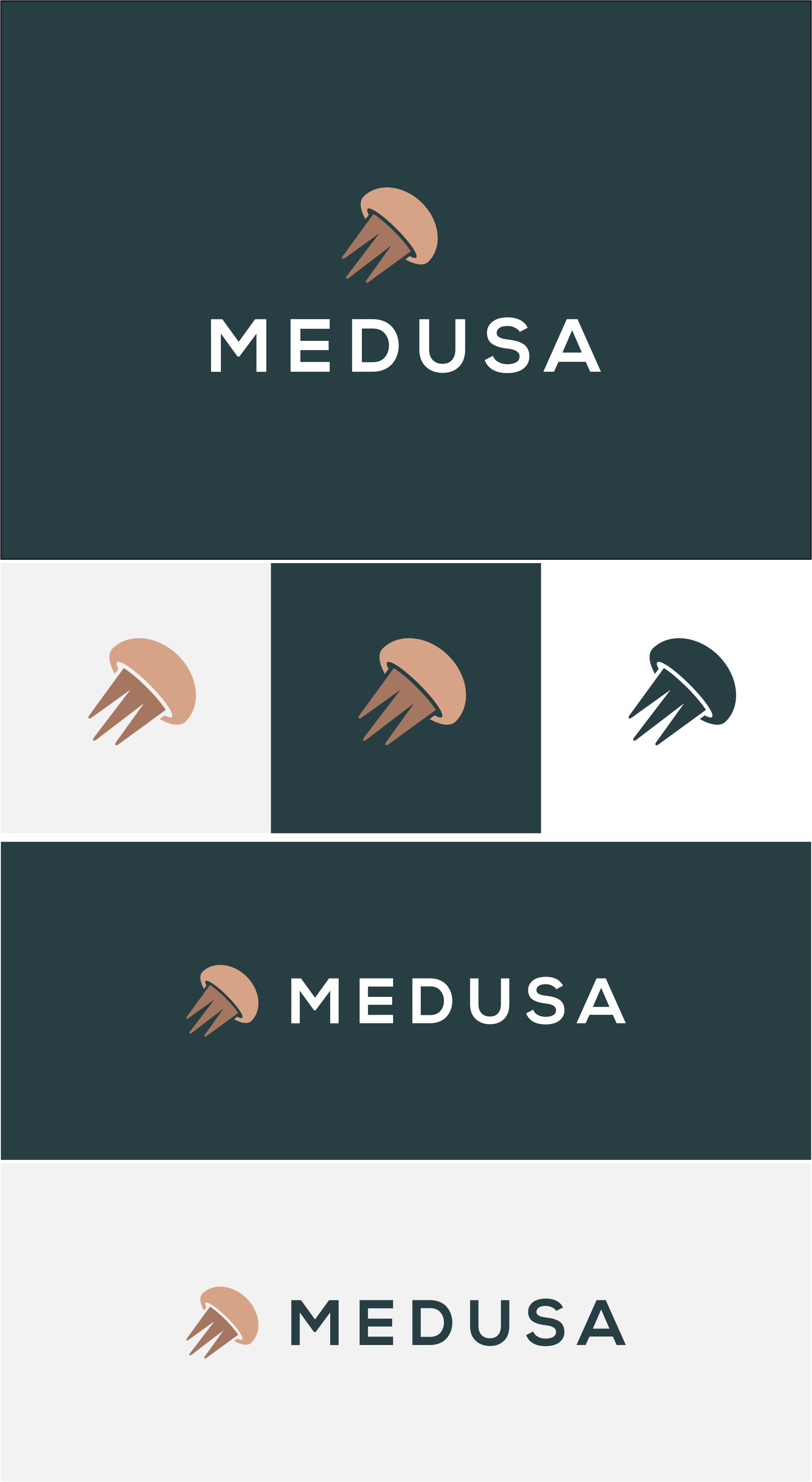 Logo Design by RAN MEI JS for this project | Design #35066779