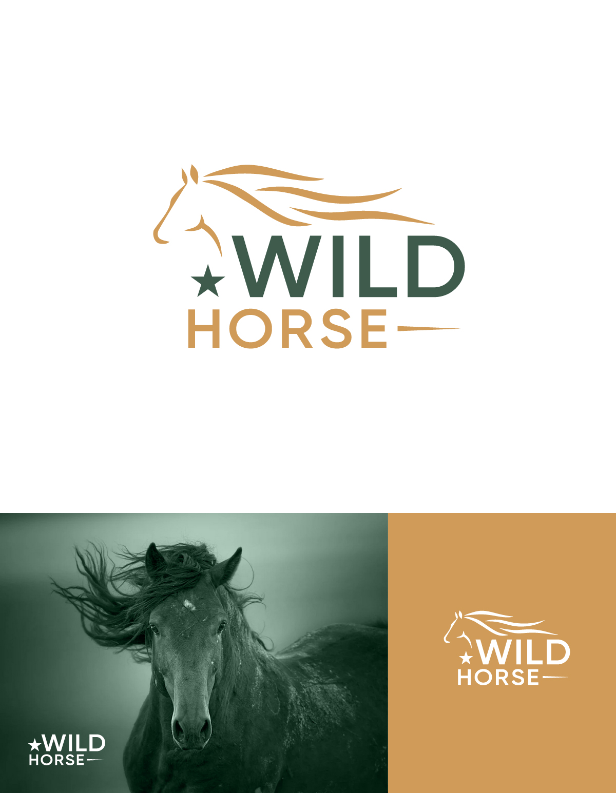 Logo-Design von apik. für dieses Projekt | Design #35068030