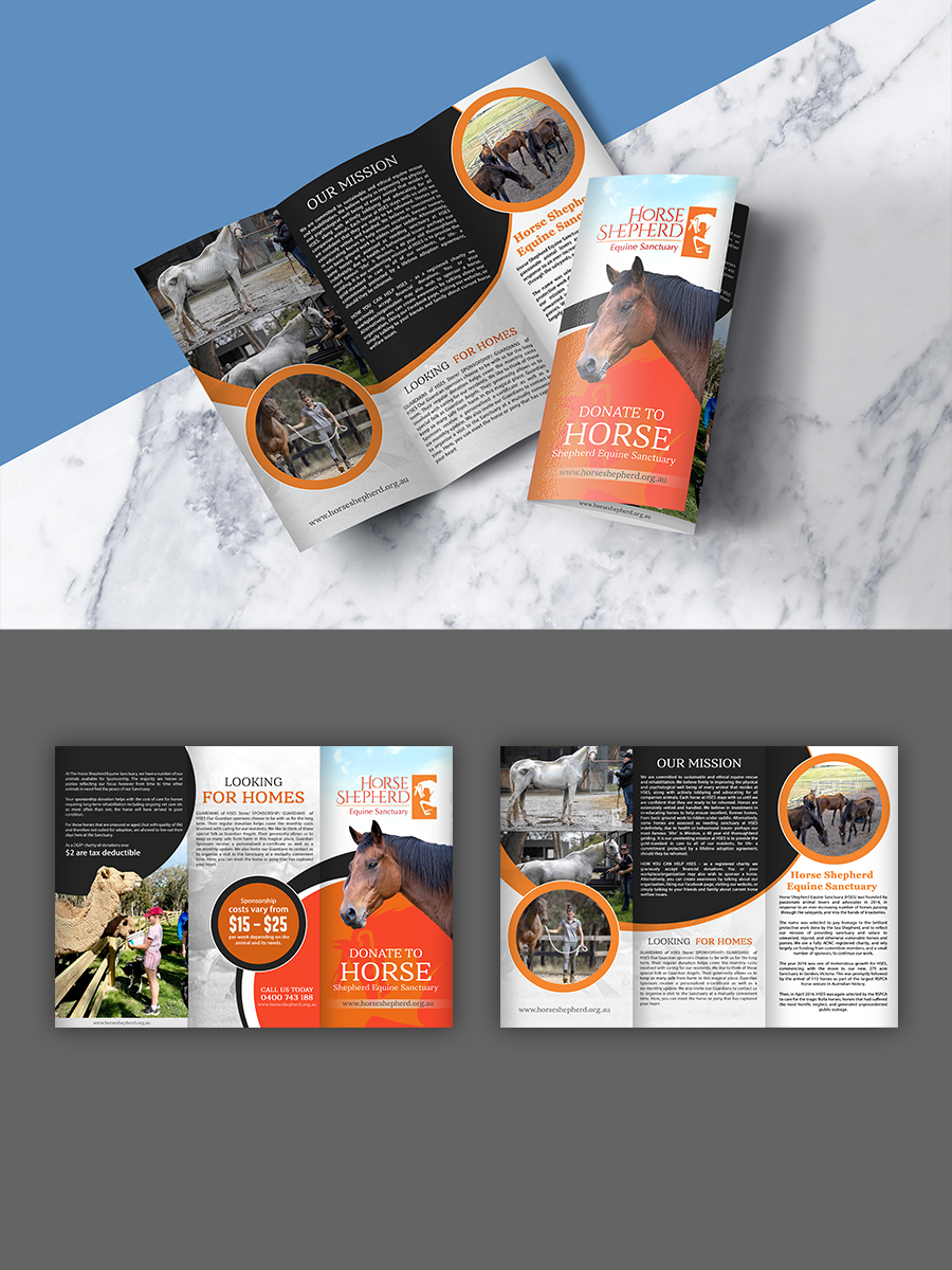 Flyer Design by n214008 for Horse Shepherd Park | Design #35091481