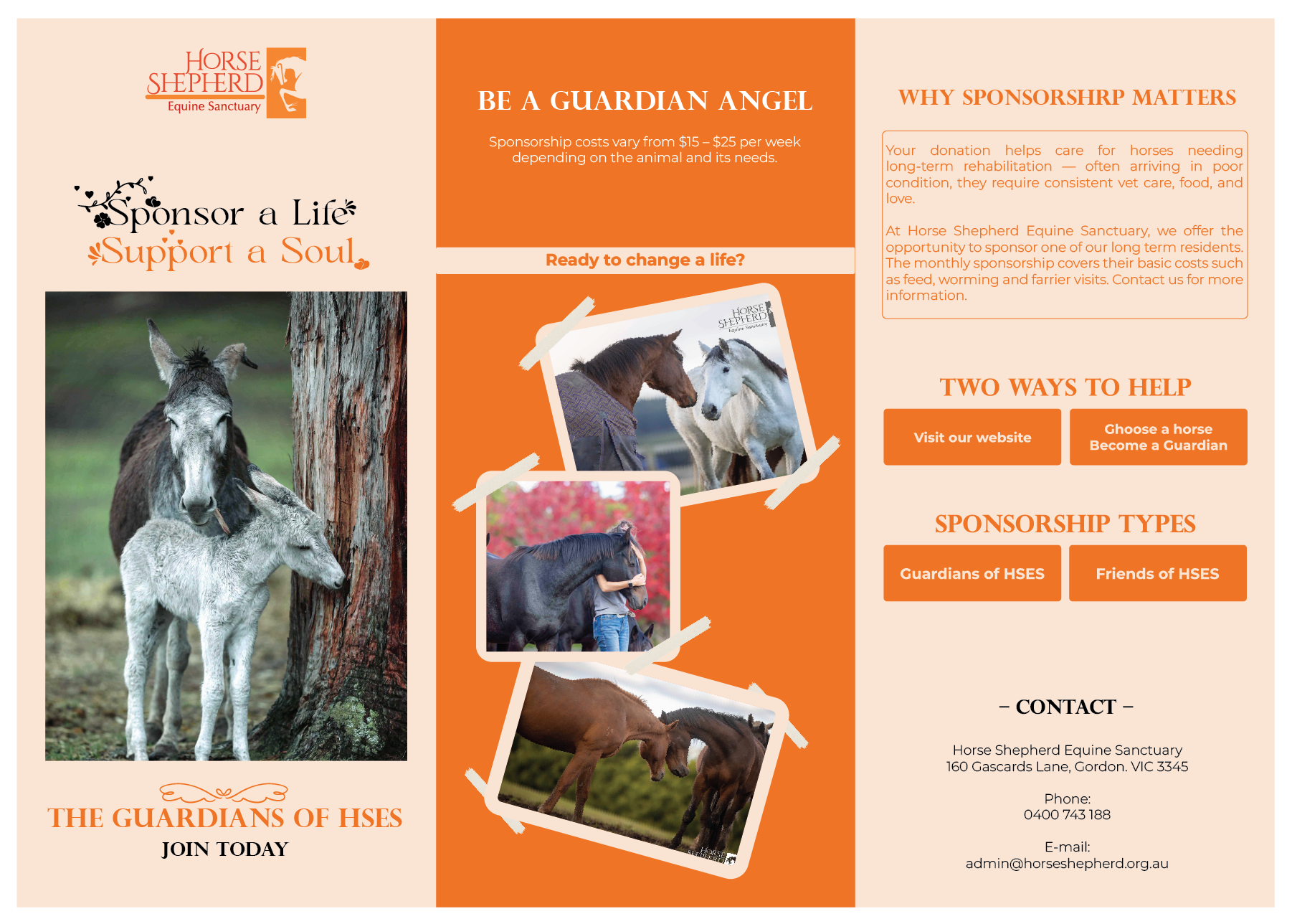 Flyer Design by logo_hunter for Horse Shepherd Park | Design #35106574