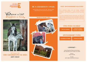 Flyer Design by logo_hunter for Horse Shepherd Park | Design: #35106574