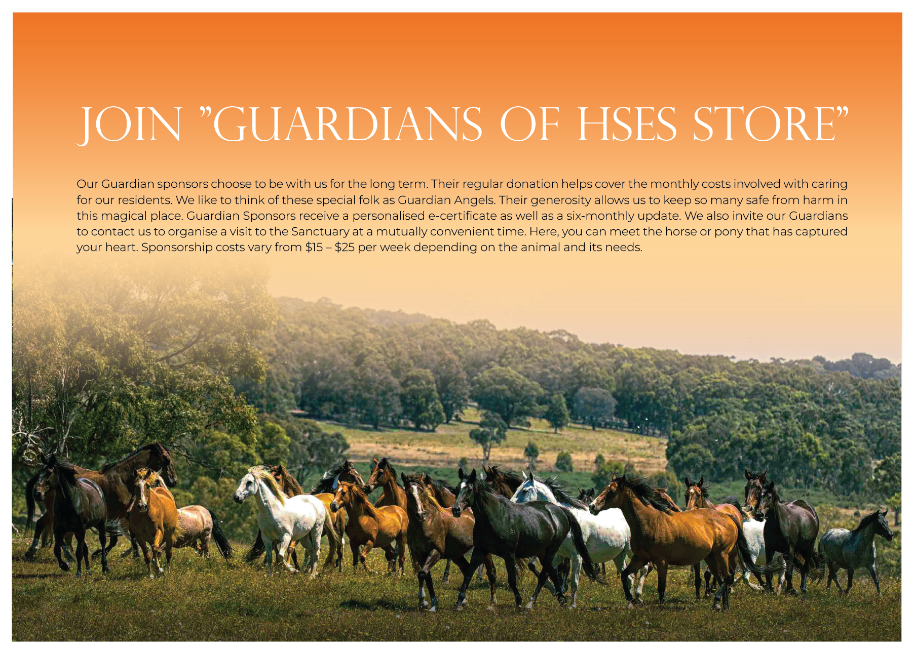 Flyer Design by logo_hunter for Horse Shepherd Park | Design #35106575