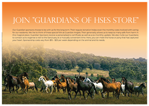 Flyer Design by logo_hunter for Horse Shepherd Park | Design: #35106575