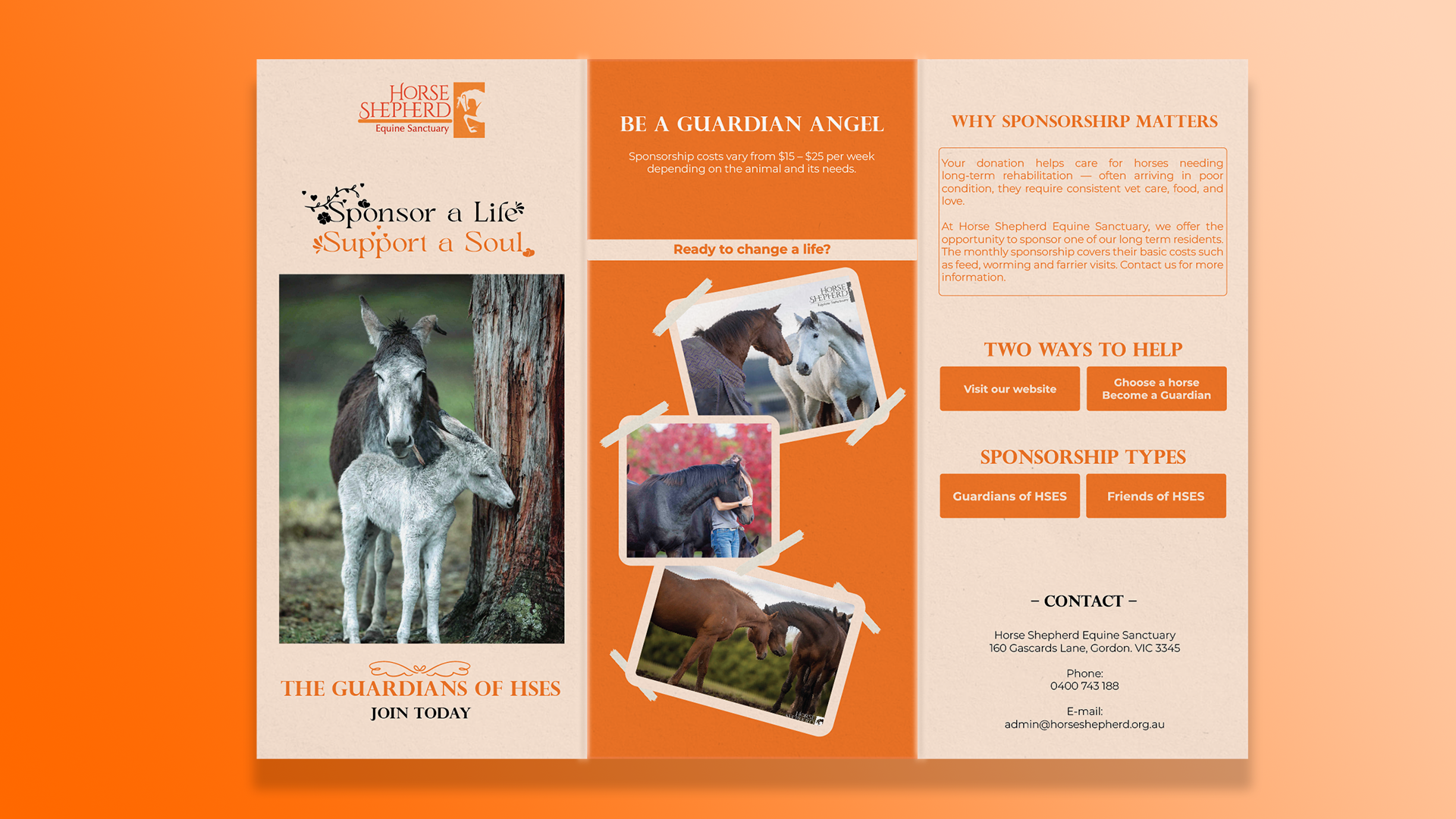 Flyer Design by logo_hunter for Horse Shepherd Park | Design #35106577