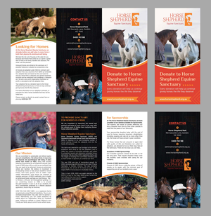 Flyer Design by GraphicsGuru for Horse Shepherd Park | Design: #35076829
