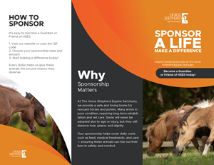 Flyer Design by ZD STUDIO for Horse Shepherd Park | Design: #35108348