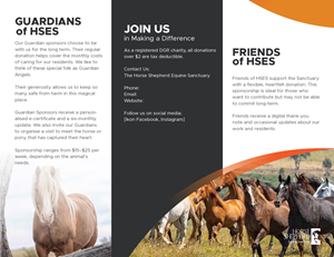 Flyer Design by ZD STUDIO for Horse Shepherd Park | Design: #35108349