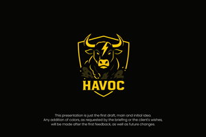 Logo Design by AwesoMind