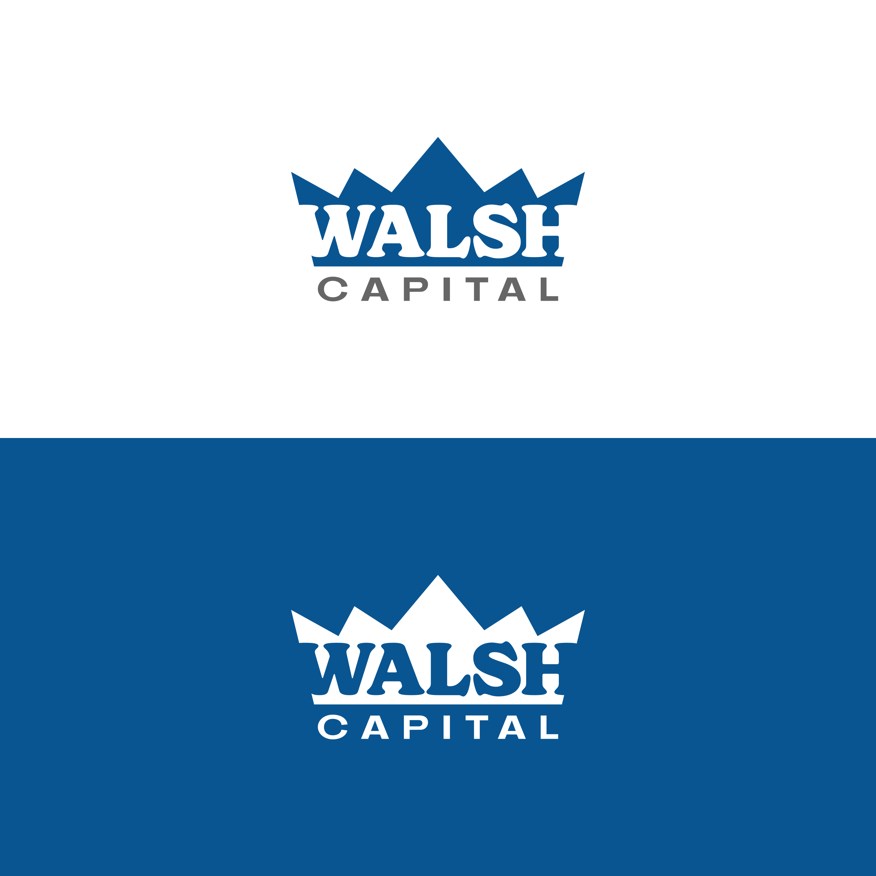 Logo Design by anamuldzine for this project | Design #35115655
