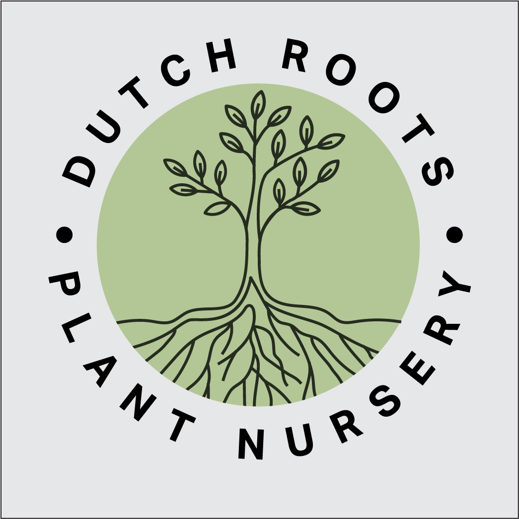 Logo Design by band logo designer for this project | Design #35106573