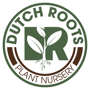 Logo Design by Vu Hoàng Phúc for this project | Design: #35089912