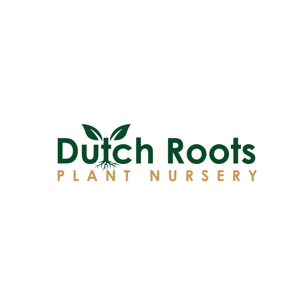 Logo Design by shimul Graphic for this project | Design #35092610