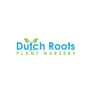 Logo Design by shimul Graphic