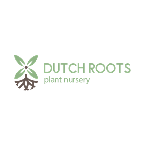 Logo Design by JackDsgn