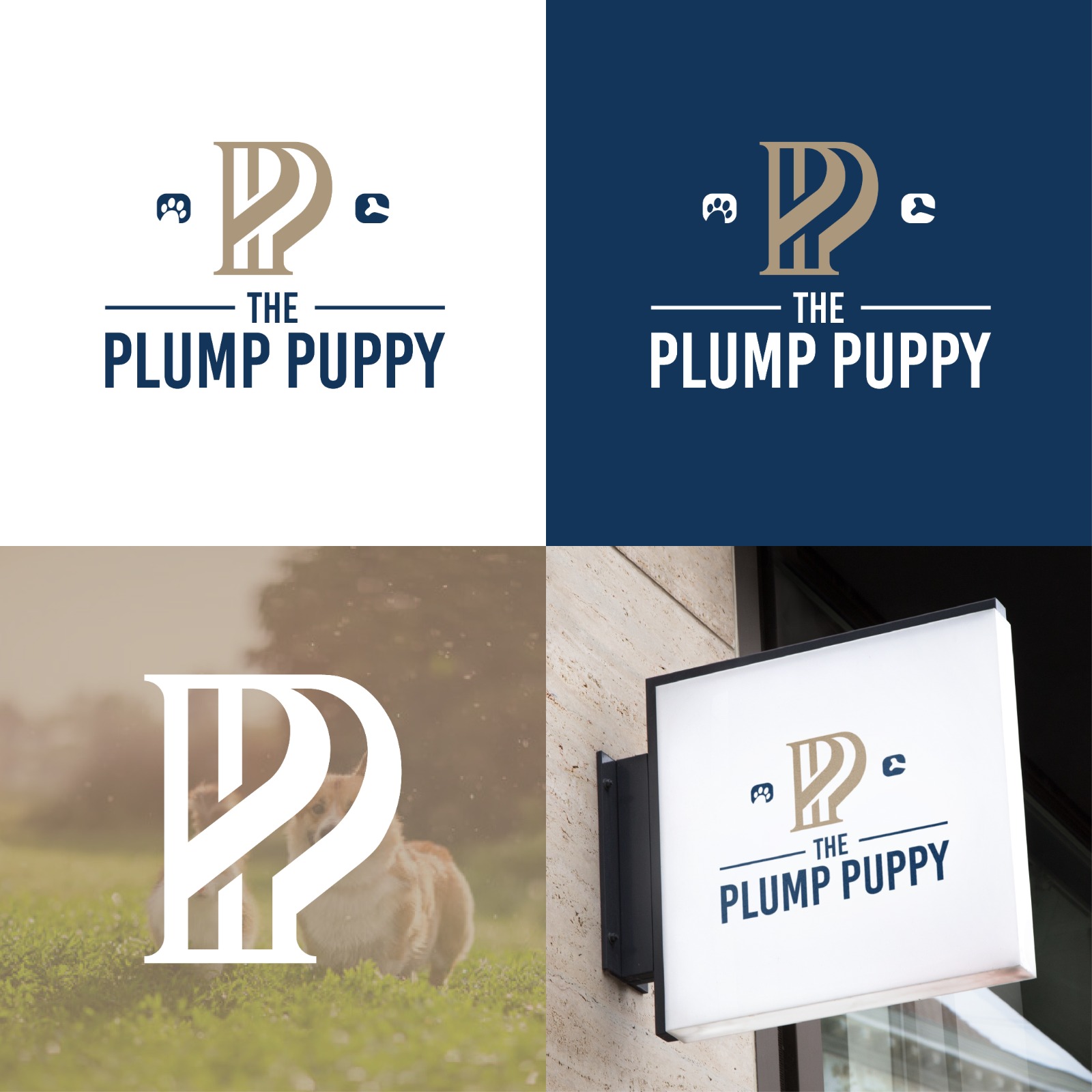 Logo Design by Titan Solbiz for Warwick Printing | Design #35082465