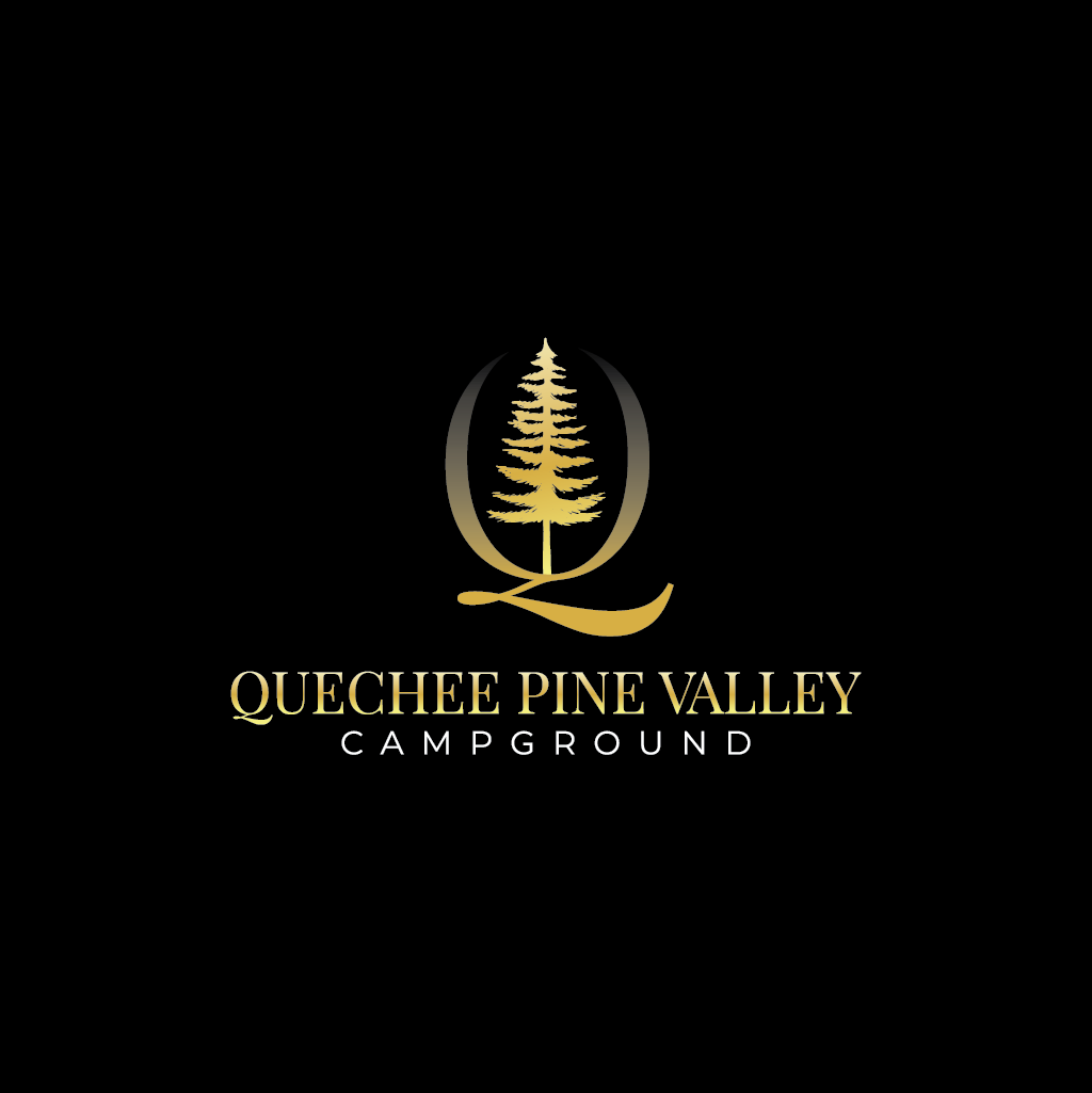Logo-Design von Jerwin Intac für Pine Valley Inc | Design #35103017