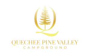 Logo-Design von Jerwin Intac für Pine Valley Inc | Design: #35421565