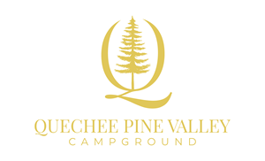 Logo-Design von Jerwin Intac für Pine Valley Inc | Design: #35427474