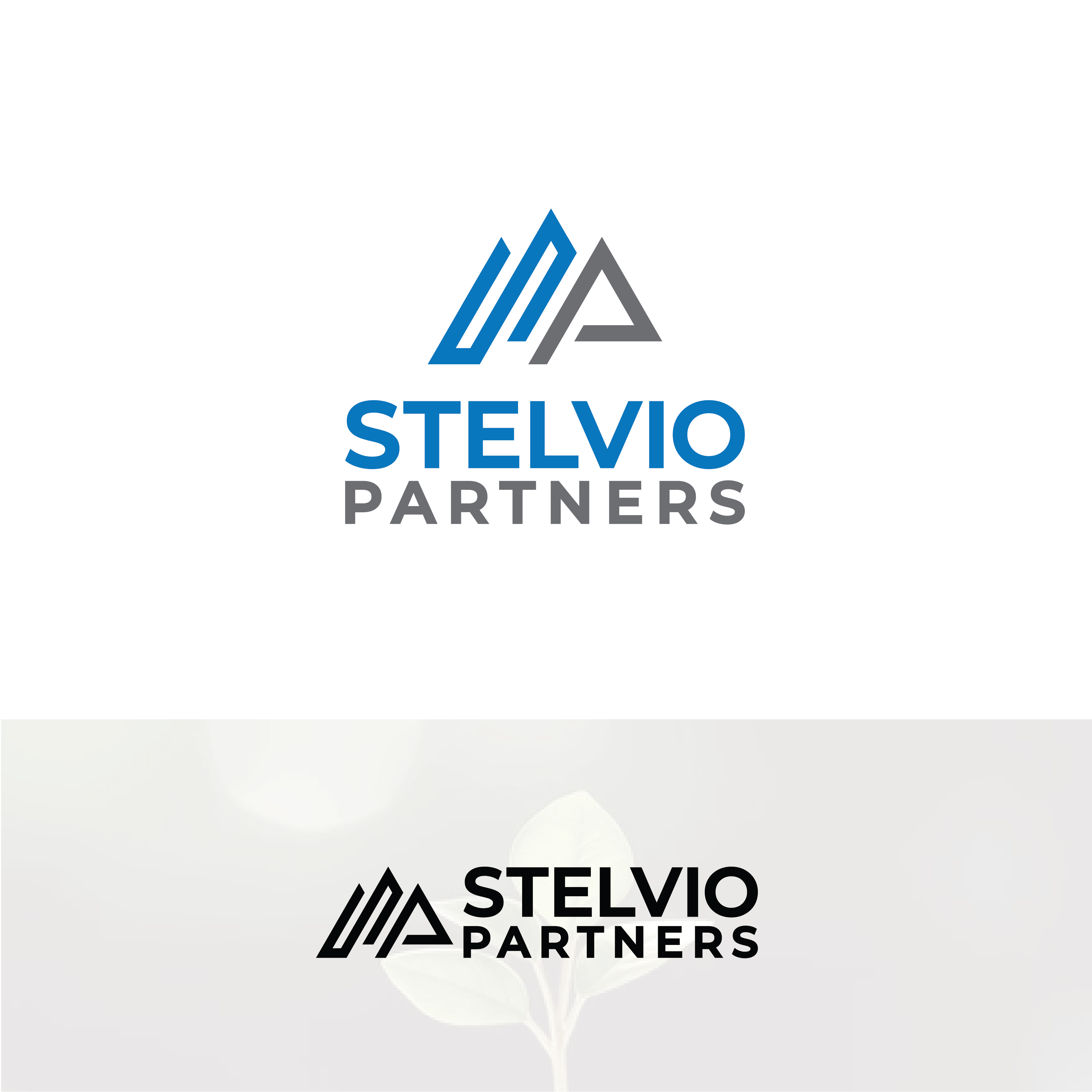 Logo Design by Designer Nayem for this project | Design #35088982