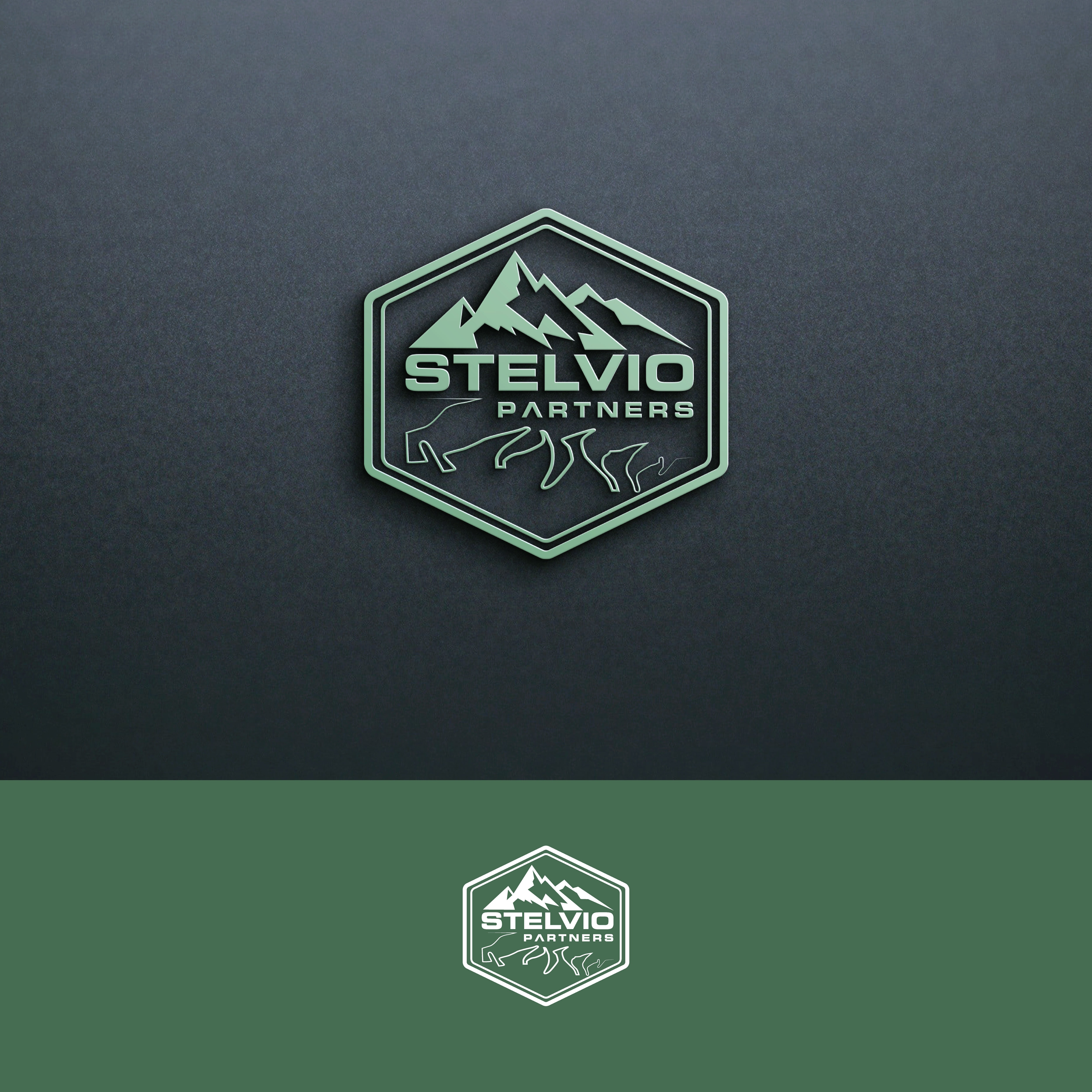 Logo Design by ainee4 for this project | Design #35086347
