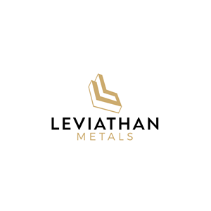 Logo Design by memindlogo
